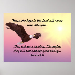 Ansteigendes Eagle Poster