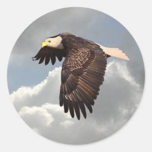 ANSTEIGENDES EAGLE RUNDER AUFKLEBER