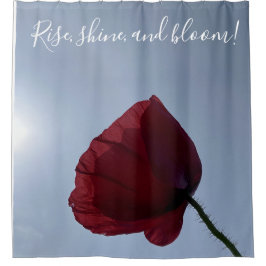 Anstieg, Glanz, Blüte, roter Mohn Duschvorhang