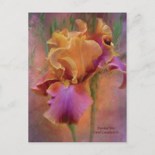 Anstrich Iris Art Postkarte