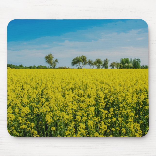 Anstrich von gelben Blumen Mousepad (Vorne)