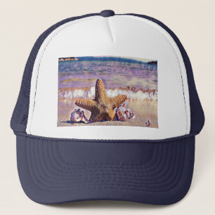 Anstrich von Star Seashells am T - Shirt Truckerkappe