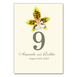Anstrichene grüne Orchideen Hochzeit Blume Tischnu Tischnummer