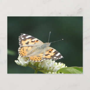 Anstrichene Lady Butterfly DIY Postkarte