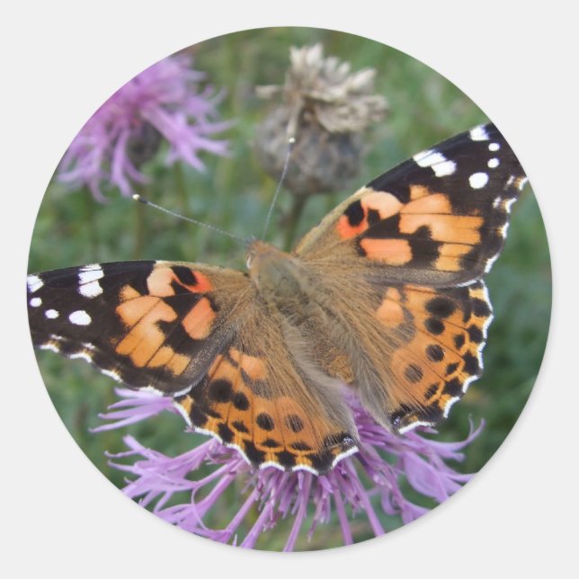 Anstrichene Lady Butterfly Stickers (Vorderseite)
