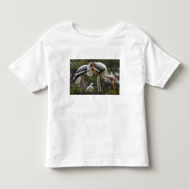 Anstrichene Storche und junge Nest,Keoladeo Kleinkind T-shirt (Vorderseite)