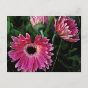 Anstrichene Tage Postkarte