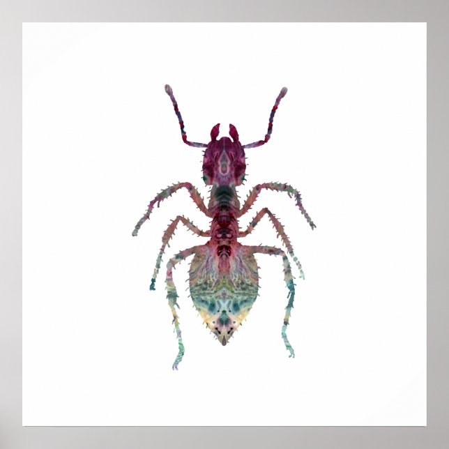 Ant Art Poster (Vorne)