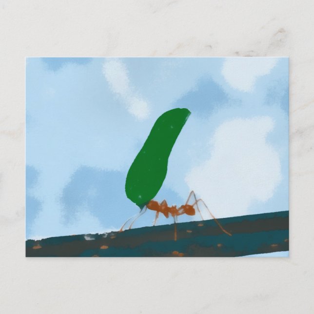 Ant Carry a Leaf Postkarte (Vorderseite)