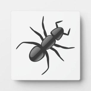 Ant Fotoplatte