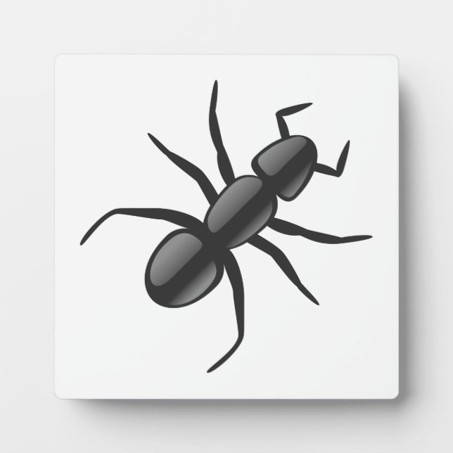 Ant Fotoplatte (Vorderseite)