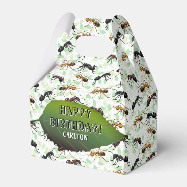 Ant Insects Bugs Creepy Crawly Creatures Geschenkschachtel (Vorderseite)