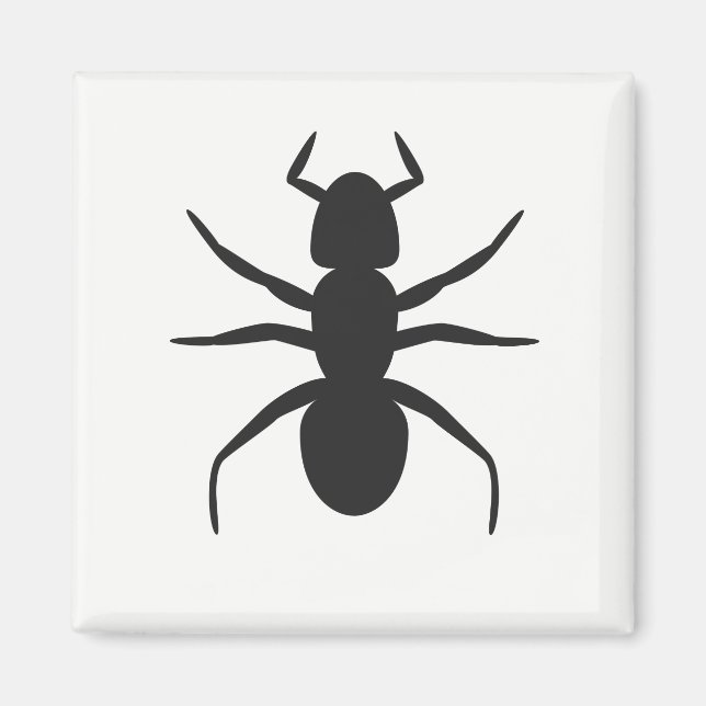 Ant Magnet (Vorne)