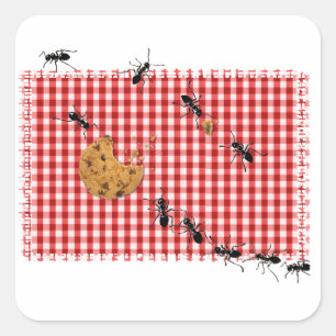 Ant Picnic Quadratischer Aufkleber