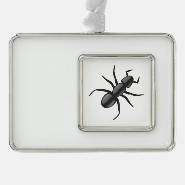 Ant Rahmen-Ornament Silber (Vorderseite)