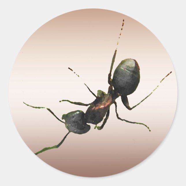 Ant Runder Aufkleber (Vorderseite)