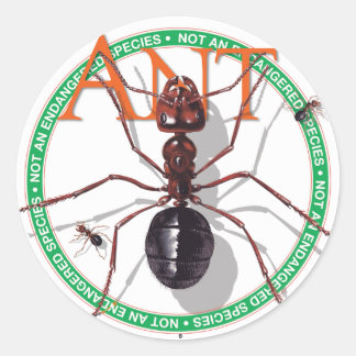 Ant Sticker