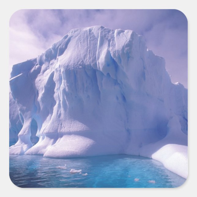 Antarctica. Antarktis Quadratischer Aufkleber (Vorderseite)