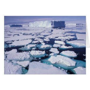 Antarctique, débit de glace.