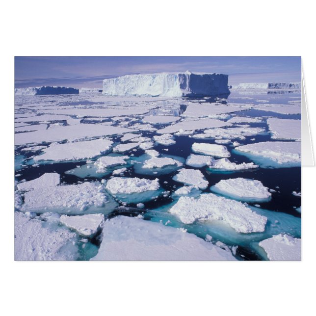 Antarctique, débit de glace. (Devant horizontal)
