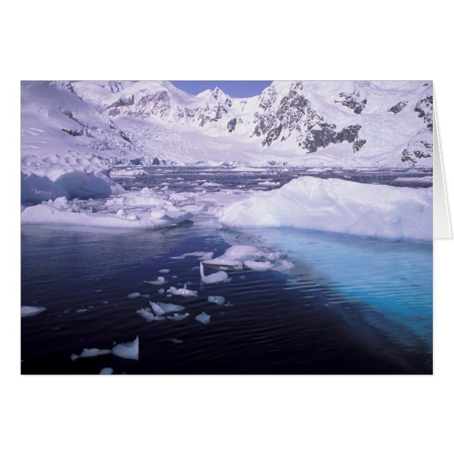 Antarctique. Expédition à travers des échappées de (Devant horizontal)