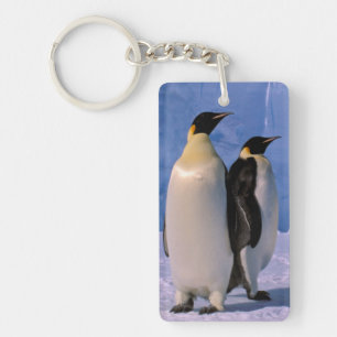 Antarctique, Territoire antarctique australien, 7