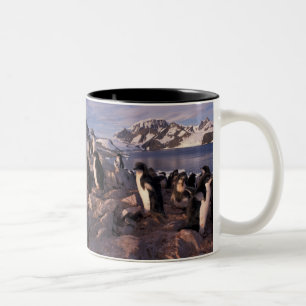 Antarktika, Adeliepinguin-Küken Zweifarbige Tasse