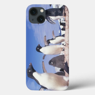 Antarktika, Adeliepinguin Pygoscelis iPhone 13 Hülle