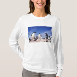 Antarktika, Adeliepinguin Pygoscelis T-Shirt