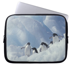 Antarktika. Adeliepinguine Laptopschutzhülle