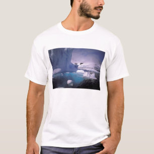 Antarktika. Antarktische Eislandschaften 2 T-Shirt