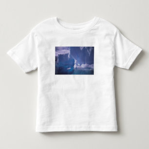 Antarktika. Antarktische Eislandschaften 3 Kleinkind T-shirt