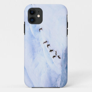 Antarktika, Antarktische Halbinsel. Kehlstreif Case-Mate iPhone Hülle