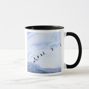 Antarktika, Antarktische Halbinsel. Kinnriemen Tasse