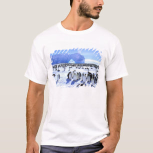 Antarktika, Antarktische Halbinsel, Weddell-Meer, T-Shirt