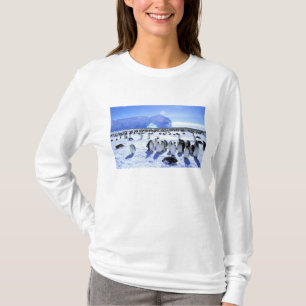 Antarktika, Antarktische Halbinsel, Weddellmeer, 5 T-Shirt