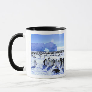 Antarktika, Antarktische Halbinsel, Weddellmeer, 5 Tasse