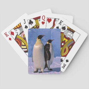 Antarktika, Australisches Antarktisterritorium, 7 Spielkarten