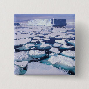 Antarktika, Eisfluss. Button