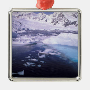 Antarktika. Expedition durch Eislandschaften Silbernes Ornament