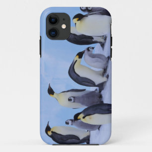 Antarktika, Kaiser-Pinguine Case-Mate iPhone Hülle