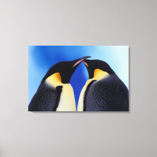 Antarktika, Kaiser-Pinguine Leinwanddruck