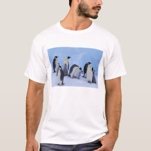Antarktika, Kaiser-Pinguine T-Shirt