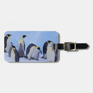 Antarktika, Kaiserpinguine Gepäckanhänger