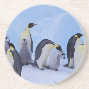 Antarktika, Kaiserpinguine Getränkeuntersetzer