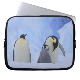 Antarktika. Kaiserpinguine und Küken Laptopschutzhülle