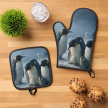 Antarktika, Kuschel-Kaiser, Pinguinfamilie traf si