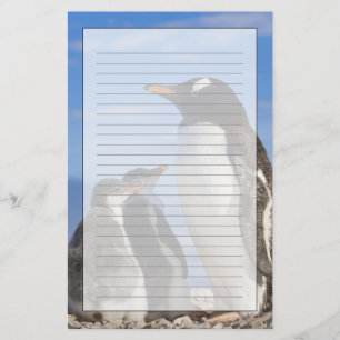 Antarktika, Neko Cove (Hafen). Gentoo Pinguin 2 Briefpapier