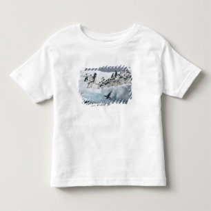 Antarktika, Paulet-Insel. Adeliepinguine Kleinkind T-shirt