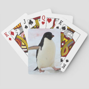 Antarktika. Petermann-Insel. Adeliepinguin Spielkarten